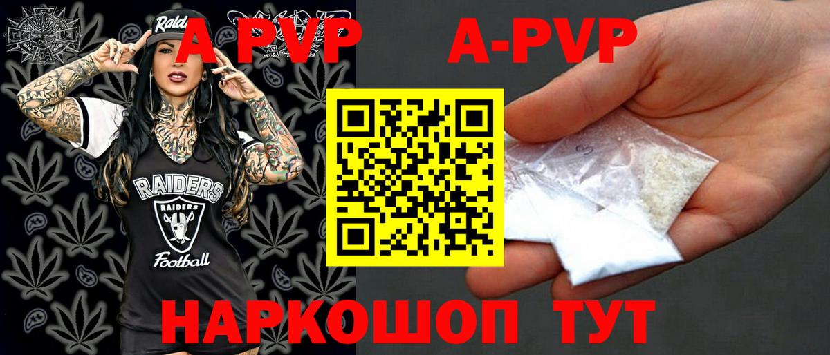 A PVP СК Светлоград