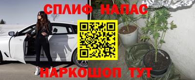 прущие крисы Бузулук