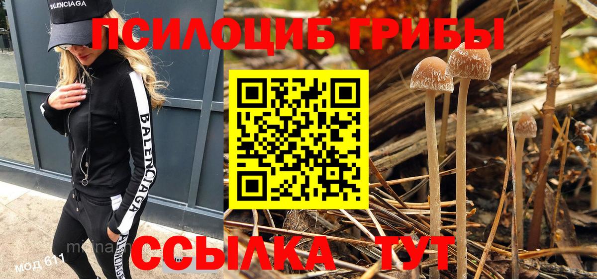 Галлюциногенные грибы Cubensis Светлоград